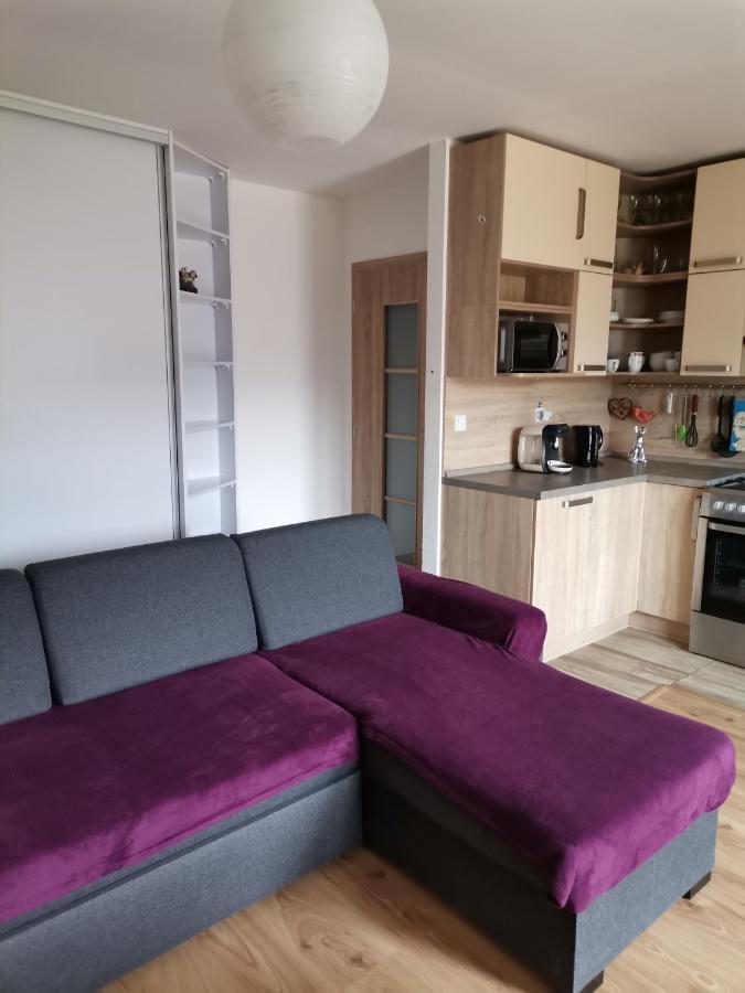 Apartman Family S Vyhladom Na Choc Lúčky Bagian luar foto