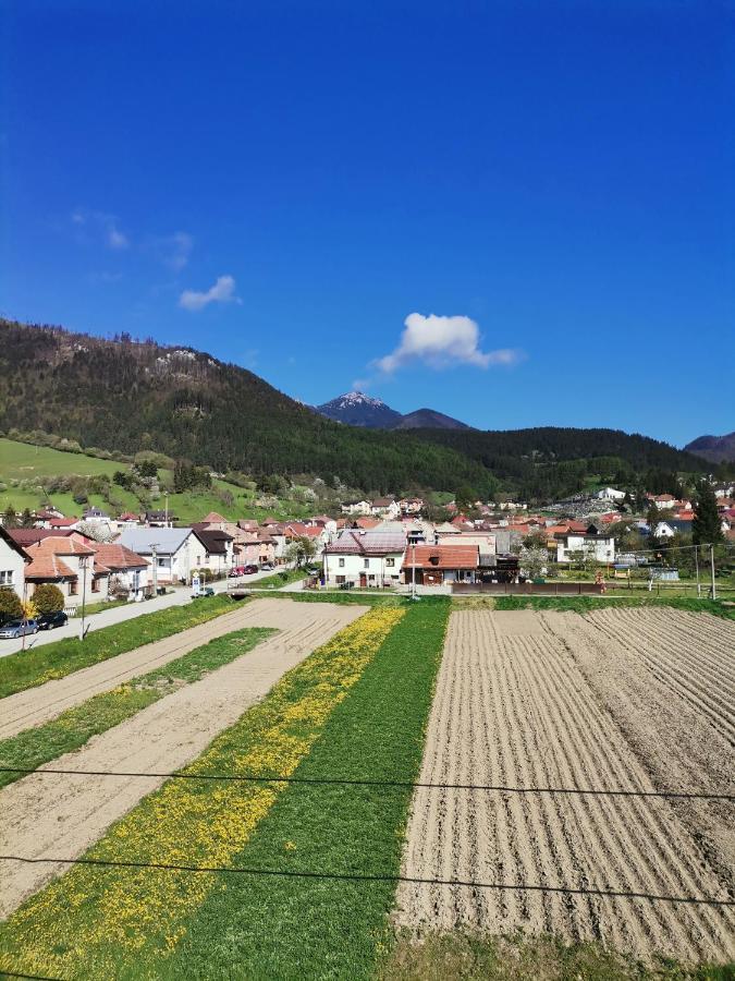 Apartman Family S Vyhladom Na Choc Lúčky Bagian luar foto